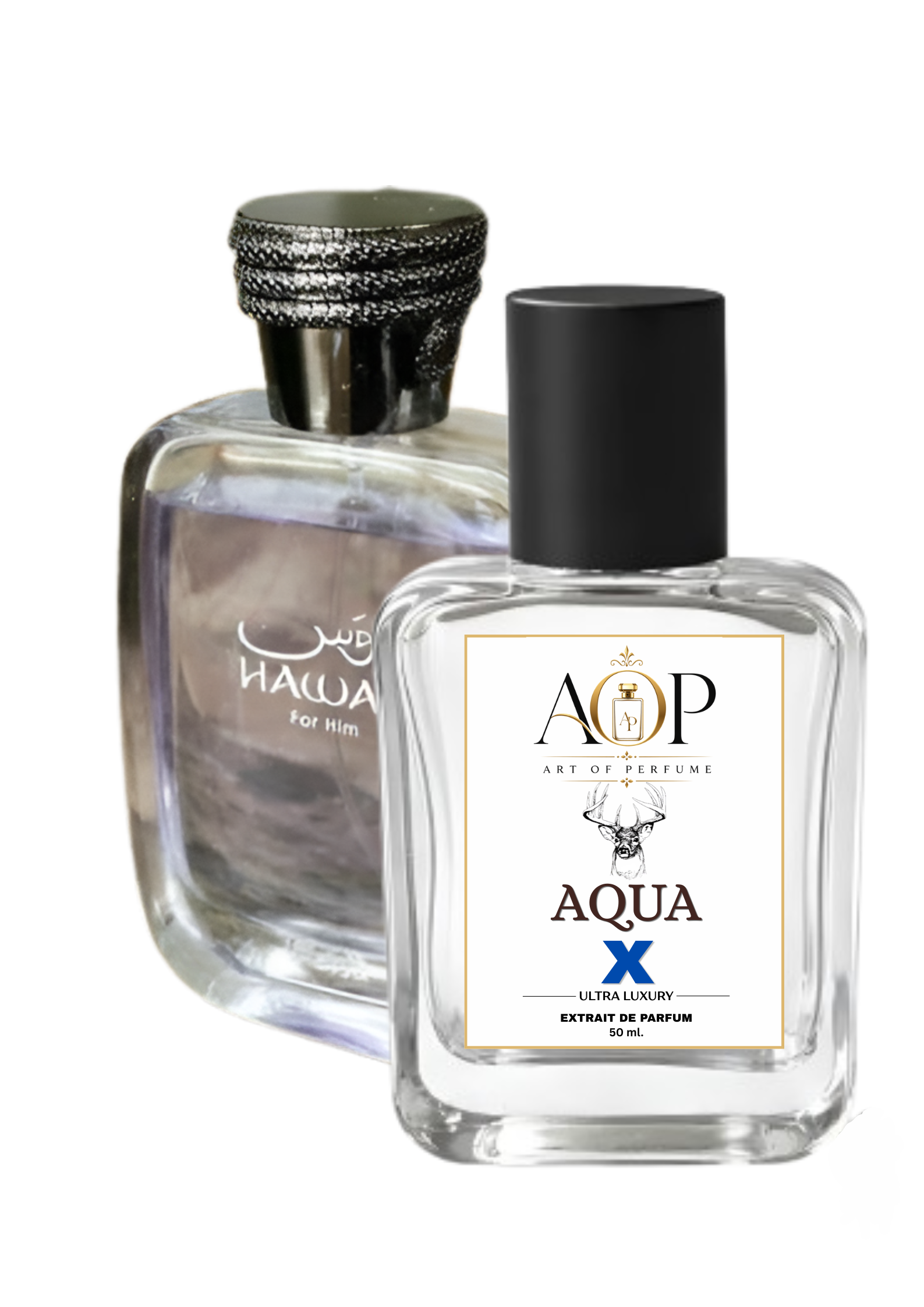 AOP Aqua X (Inspired by Ras*si Haw*s)